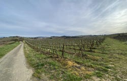 Ajac, Languedoc-Roussillon 11300