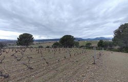 Tautavel, Languedoc-Roussillon 66720