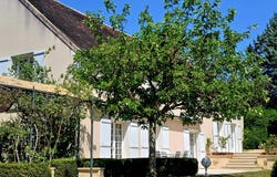 Auxerre, Burgundy 89000