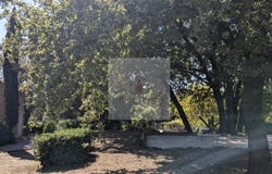 Saint-Jean-du-Pin, Languedoc-Roussillon 30140