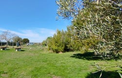 Sérignan, Hérault 34410