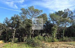 Vénéjan, Languedoc-Roussillon 30200