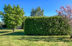 Montpon-Ménestérol, Aquitaine 24700