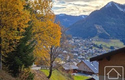 Châtel, Rhône-Alpes 74390