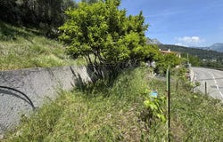Sainte-Agnès, Alpes-Maritimes 06500