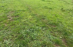Cande, Pays de la Loire 49440