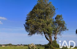 Plovan, Brittany 29720