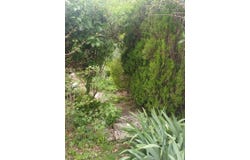 Mouthoumet, Languedoc-Roussillon 11330
