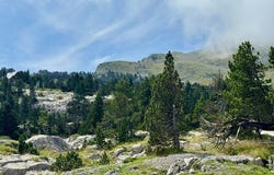 Arette, Aquitaine 64570
