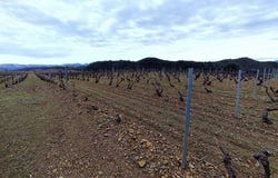 Tautavel, Languedoc-Roussillon 66720