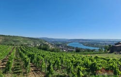 Chavanay, Loire 42410