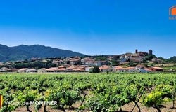 Montner, Languedoc-Roussillon 66720