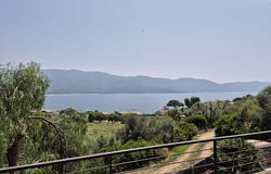 CALCATOGGIO, Corsica 20111
