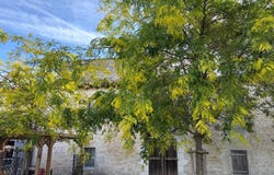 Luçon, Pays de la Loire 85400