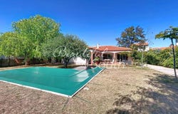 Perpignan, Languedoc-Roussillon 66000