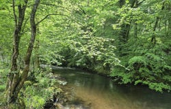 Saint-Paul-de-Vern, Midi-Pyrénées 46400