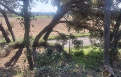 Lédenon, Languedoc-Roussillon 30210