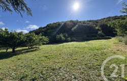 Reynès, Languedoc-Roussillon 66400