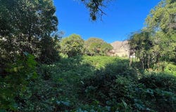 Saint-Georges-d'Orques, Languedoc-Roussillon 34680