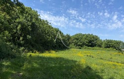 ANGLES, Pays de la Loire 85750