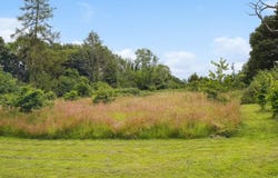Capel-Bettws Lleucu, Wales