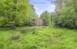 98CM+H7, Balsall, England