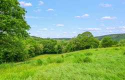 Bere Ferrers, England PL20 7HN