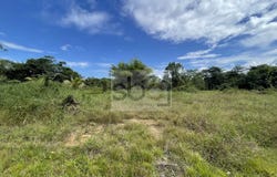 Matoury, French Guiana 97351