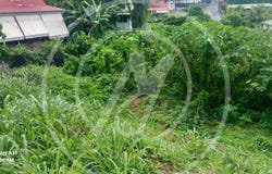 Le Gosier, Guadeloupe 97190