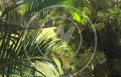 Baie-Mahault, Guadeloupe 97122