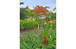 Sainte-Anne, Guadeloupe