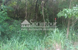 Bouillante, Guadeloupe 97125