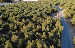 Avlona, Aegean 24011