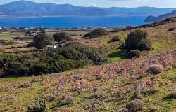 Isterni, South Aegean 84400