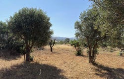 VW28+VV, Saronikos, Attica (region) 190 10