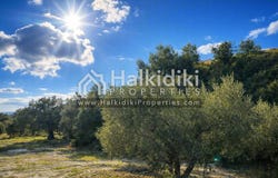 Chaniotis, Central Macedonia 63085