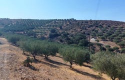Goudouras, Crete 72059