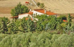 Poligiros, Chalkidiki 63073