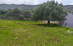 Kato Pines, Crete 72100
