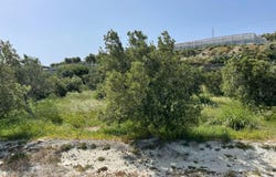 Ferma, Crete