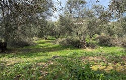 Stalos, Crete 73014