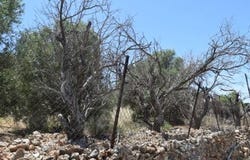 Kato Chorio, Kríti 722 00