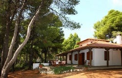 Sithonia, Chalkidiki 63078