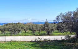 Maleme, Crete 73014
