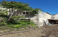 Roumeli, Crete 74057