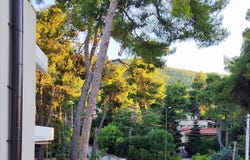 Drosia, Attica 14572