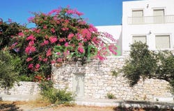 Isterni, South Aegean 84400