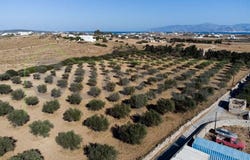 Isterni, South Aegean 84400