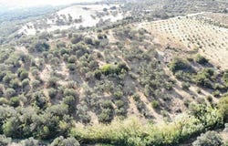Mariou, Crete 74060