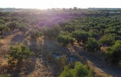 Avlona, Aegean 24011
